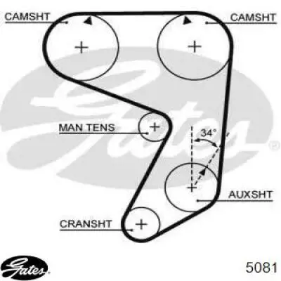 Купити 7533229 Fiat/Alfa/Lancia Ремінь газорозподільного механізму
