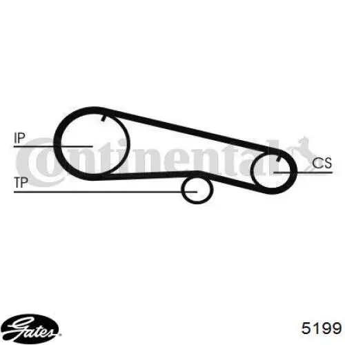 Ремінь ПНВТ Continental/Siemens CT668 ціна, від 7.60 USD