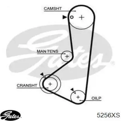 Зубчастий ремінь Gates 5256XS ціна, від 14.63 USD