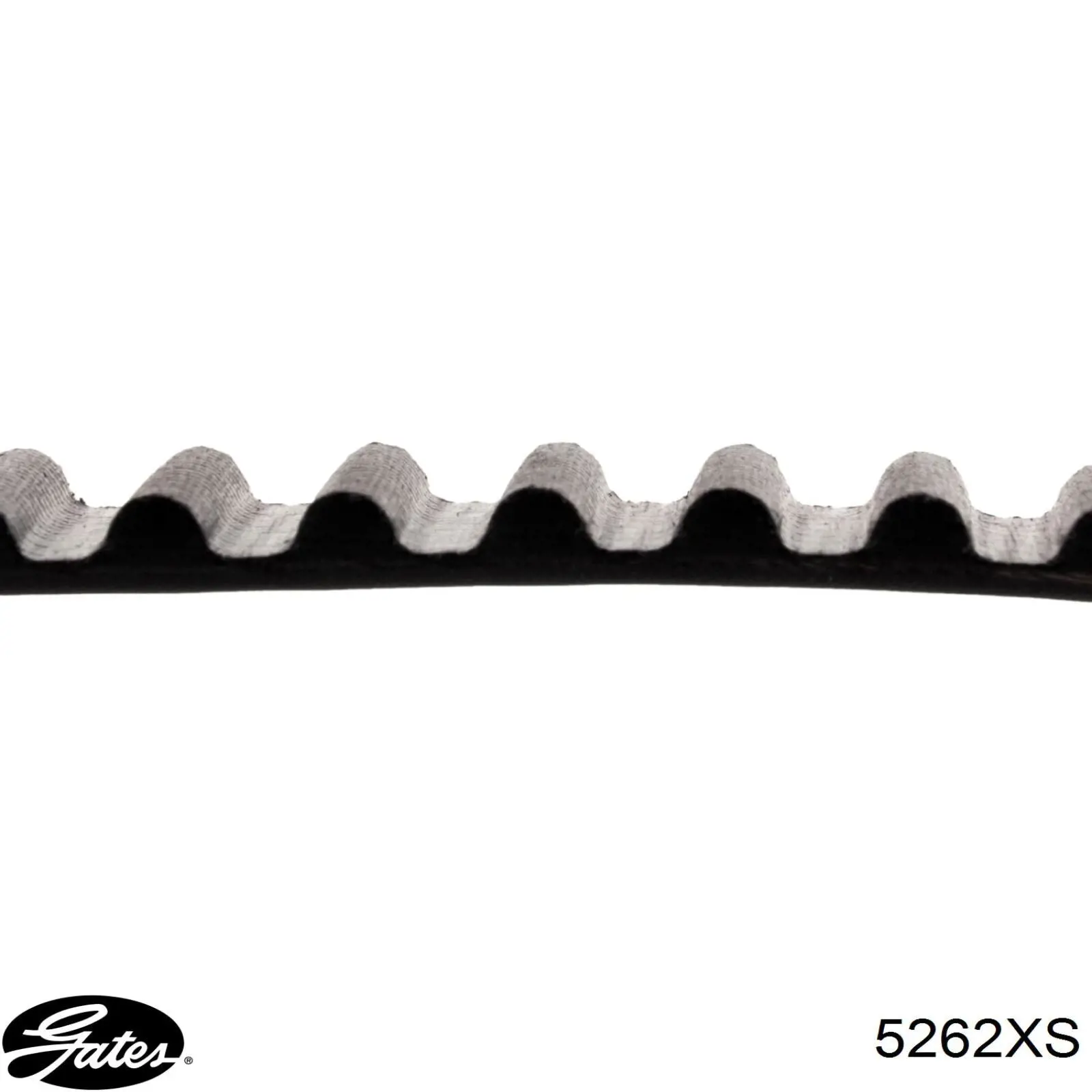 Зубчастий ремінь Gates 5262XS ціна, від 15.07 USD