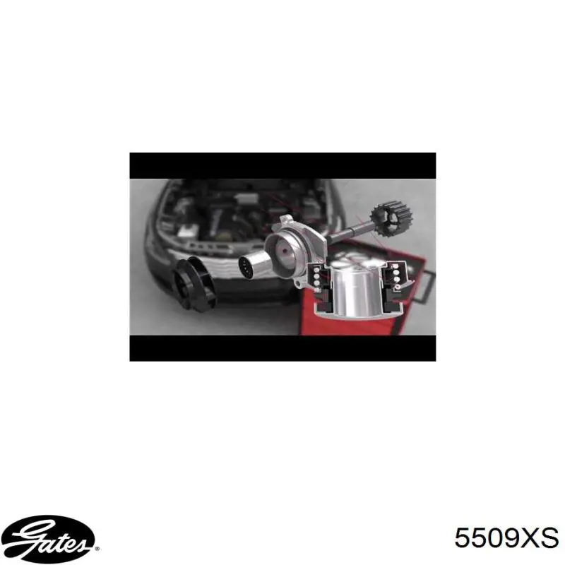 274338 Volvo Ремінь двигуна