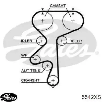 Ремінь ГРМ 5542XS Gates