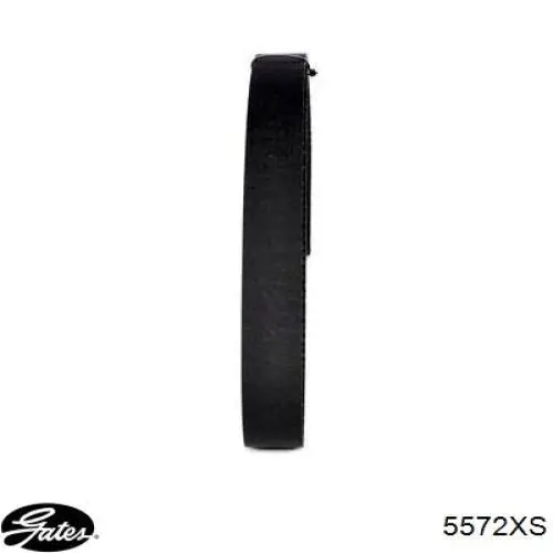Зубчастий ремінь Ford 1049653 ціна, від 24.70 USD