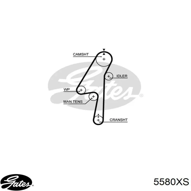 5580XS Gates Ремінь двигуна