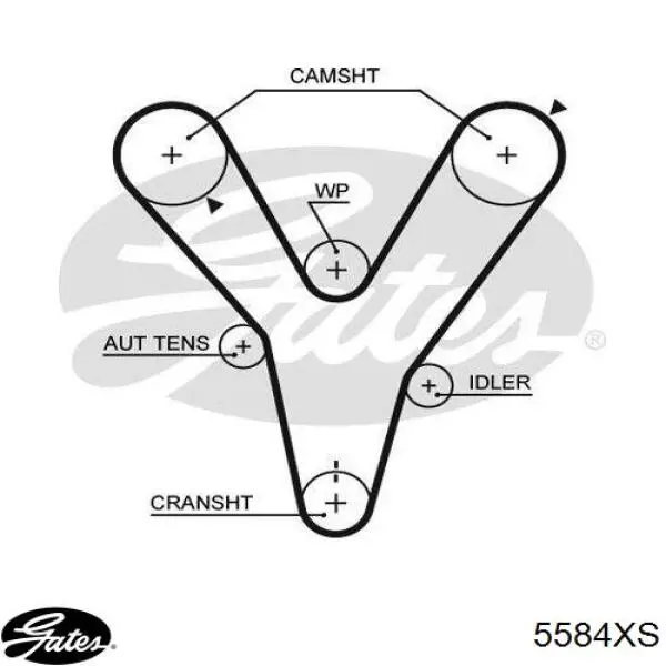 Ремінь ГРМ 5584XS Gates