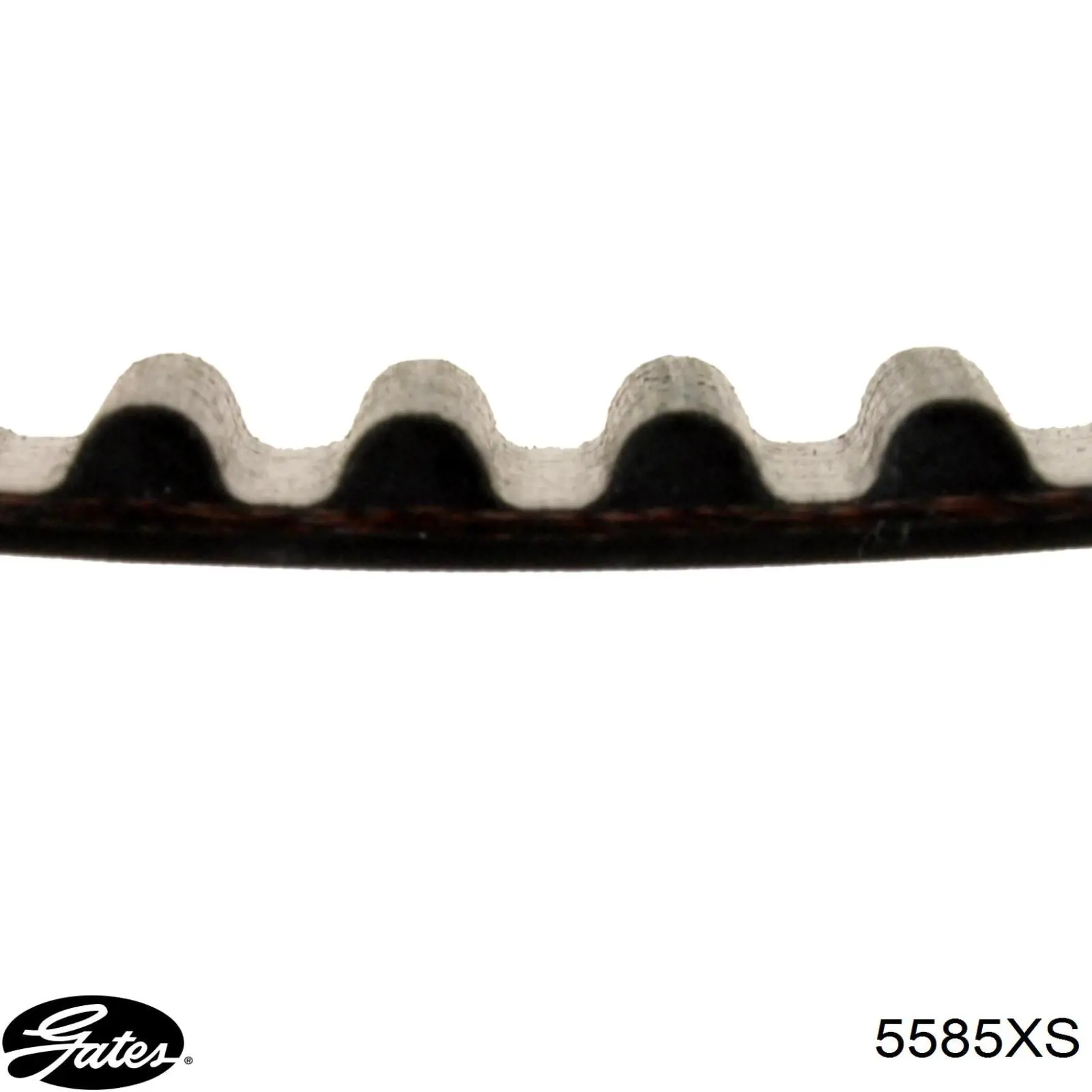Зубчастий ремінь Gates 5585XS ціна, від 29.78 USD