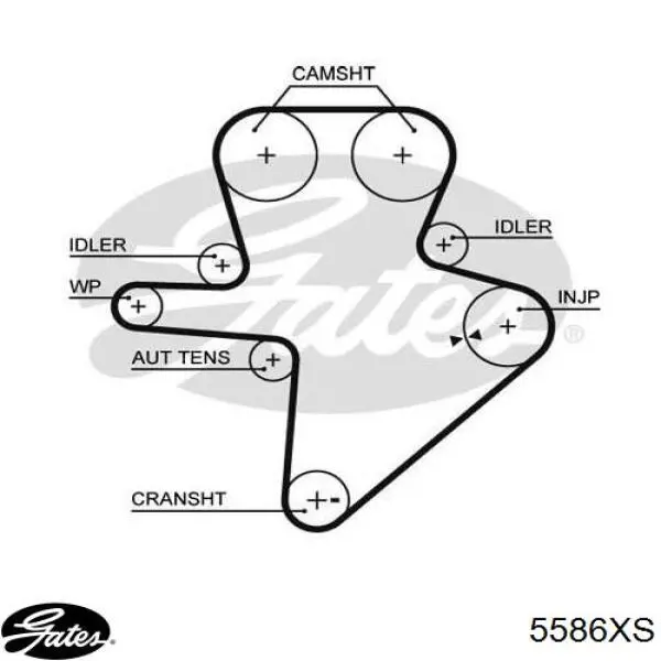 Зубчастий ремінь Gates 5586XS ціна, від 60.00 USD