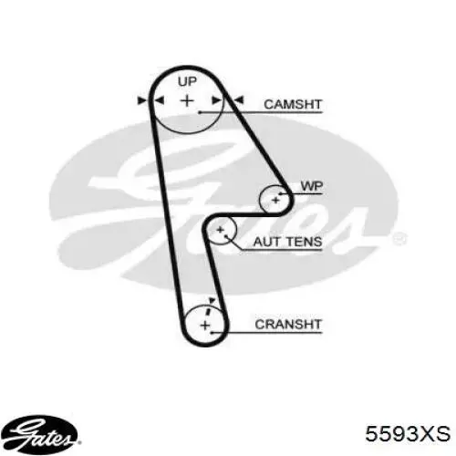 Зубчастий ремінь Gates 5593XS ціна, від 21.26 USD