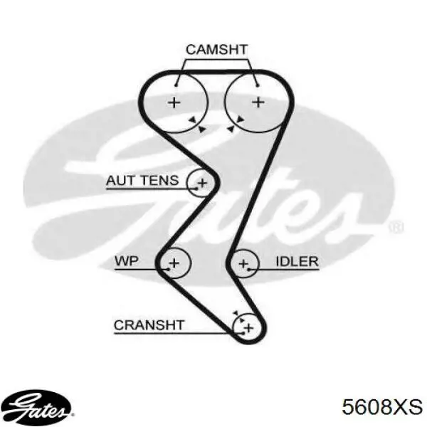 Зубчастий ремінь Gates 5608XS ціна, від 26.73 USD