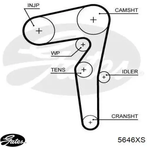Зубчастий ремінь Gates 5646XS ціна, від 37.26 USD
