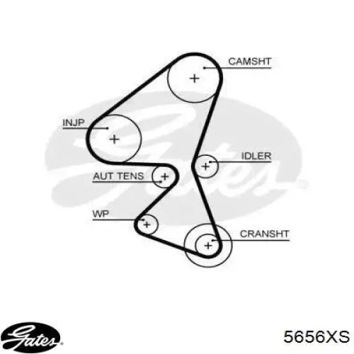 Купити 5656XS Gates Ремінь газорозподільного механізму