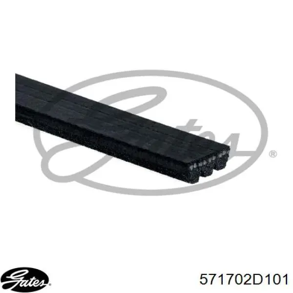Клиновий ремінь Gates 571702D101 ціна, від 4.91 USD