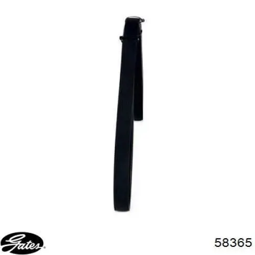 Купити KL4715908 Mazda Ремінь генератора