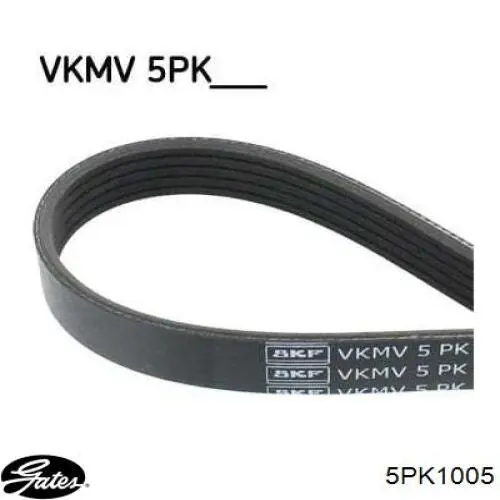 Купити 5PK1005 Gates Ремінь генератора
