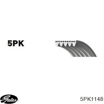Ремінь генератора 55249821 Fiat/Alfa/Lancia