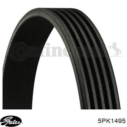 Купити 5096323AA Chrysler Ремінь генератора
