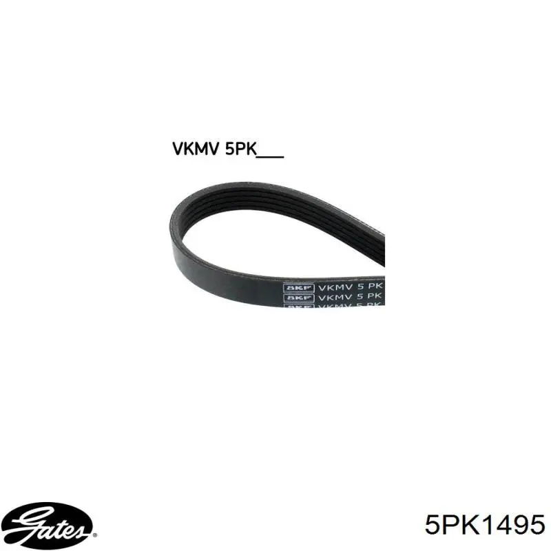 Клиновий ремінь Gates 5PK1495 ціна, від 9.72 USD