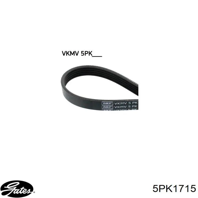 Купити 5PK1715 Dayco Ремінь генератора