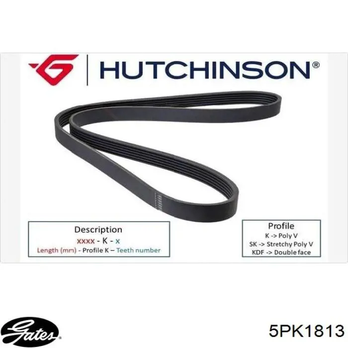 Ремінь кондиціонера Hyundai/Kia S252122A310