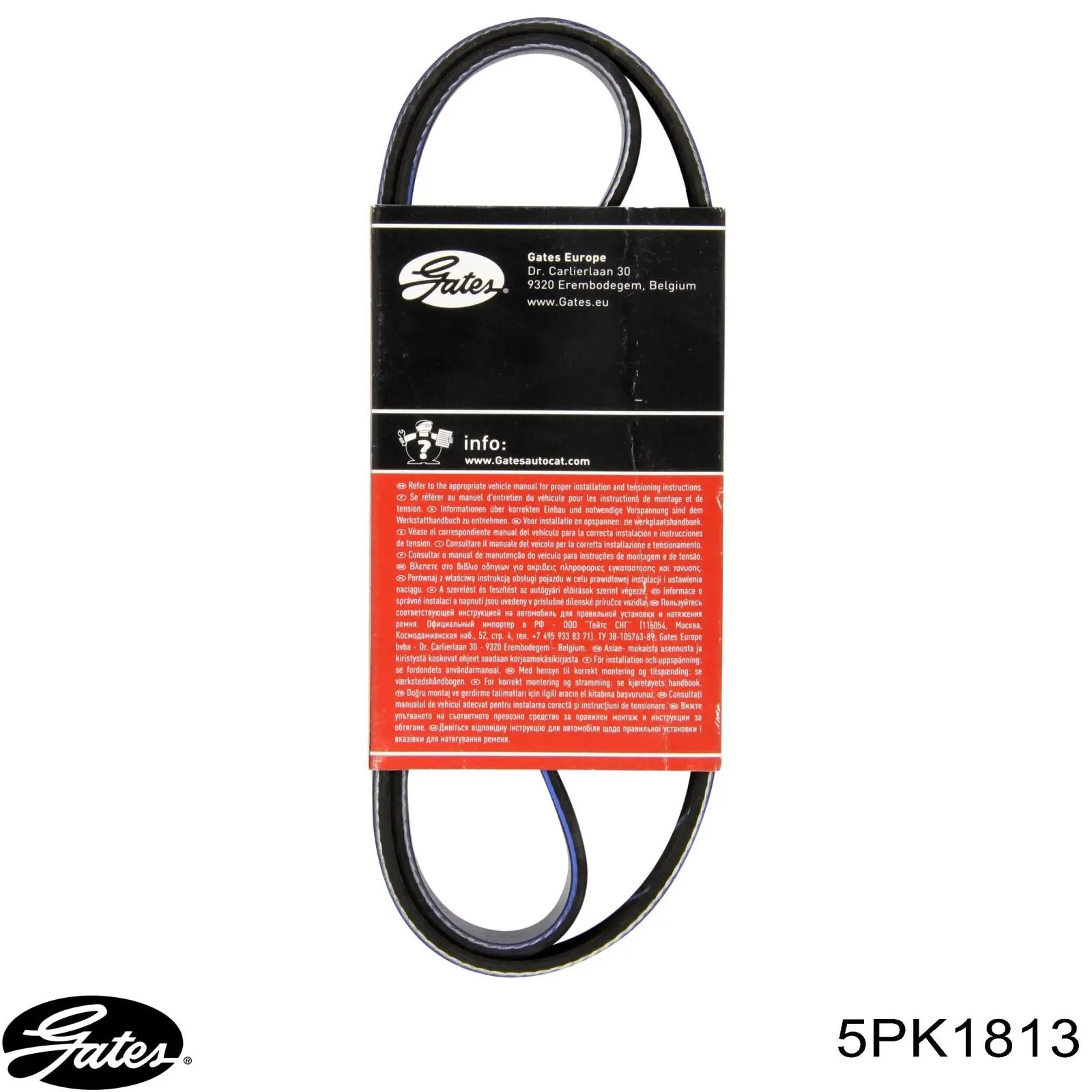 Ремінь генератора 5PK1813 Gates