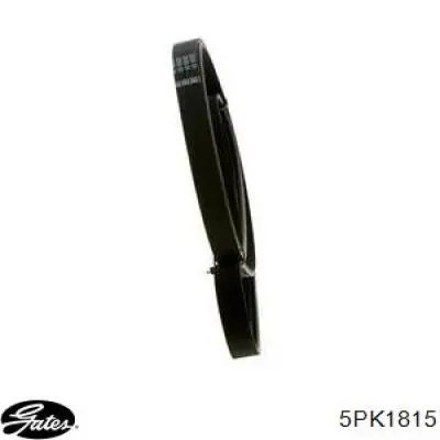 Купити S252122A310 Hyundai/Kia Ремінь генератора
