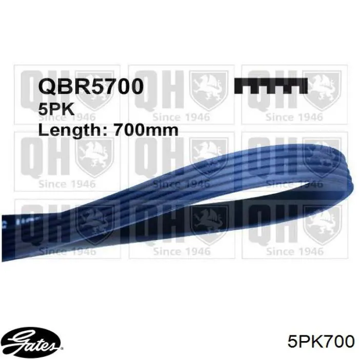 Ремінь генератора 5PK705 Dayco