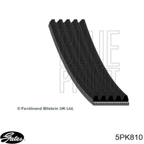 Купити 5PK810 Gates Ремінь генератора
