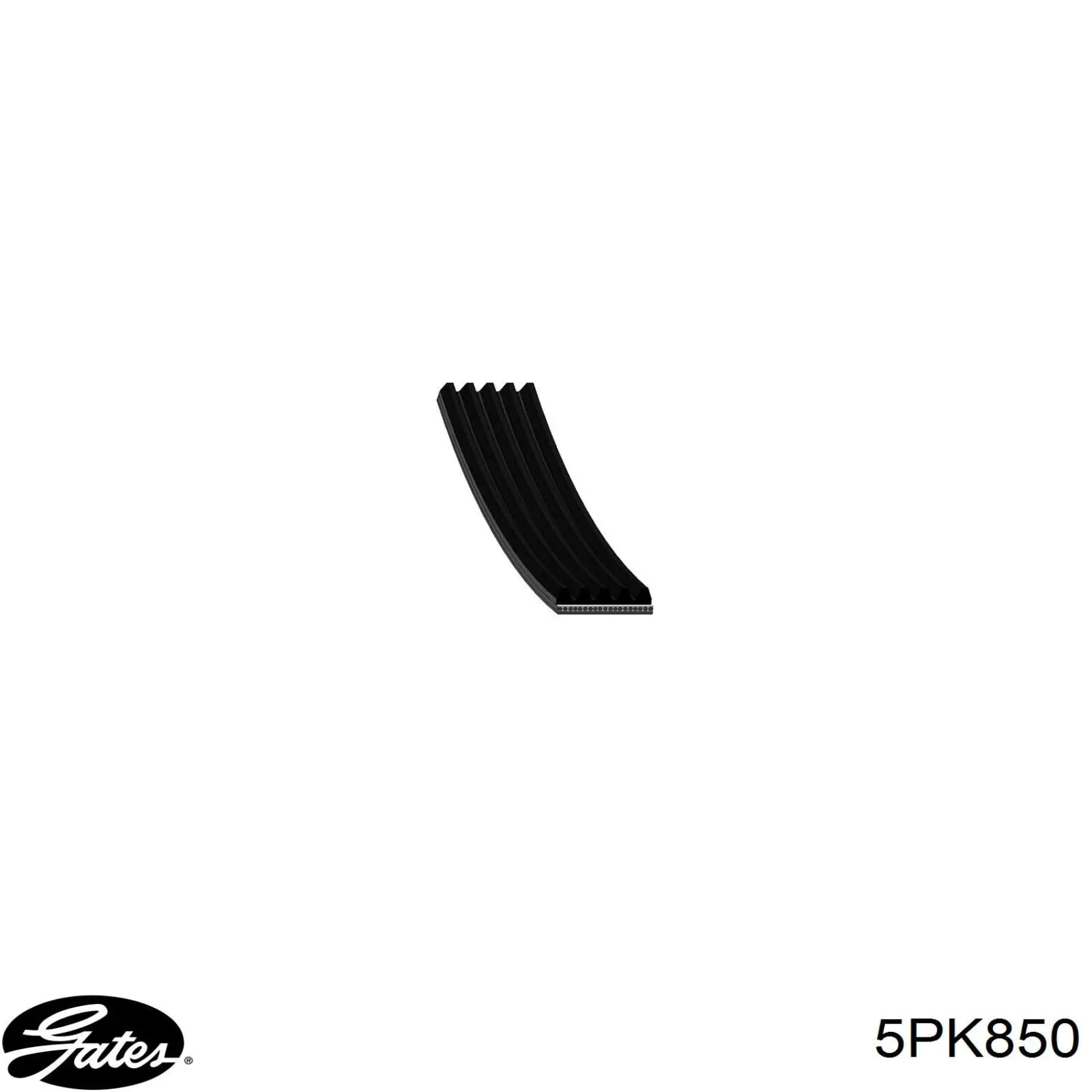 Купити 1370971 Ford Ремінь генератора