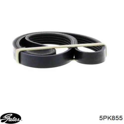 Купити 5PK855 Gates Ремінь генератора