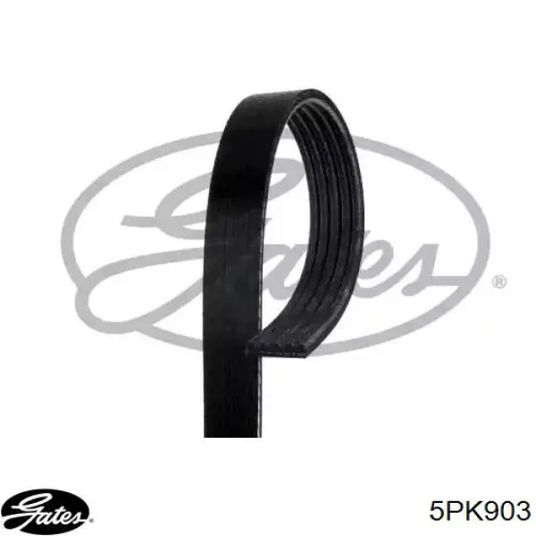 Клиновий ремінь Gates 5PK903 ціна, від 11.07 USD