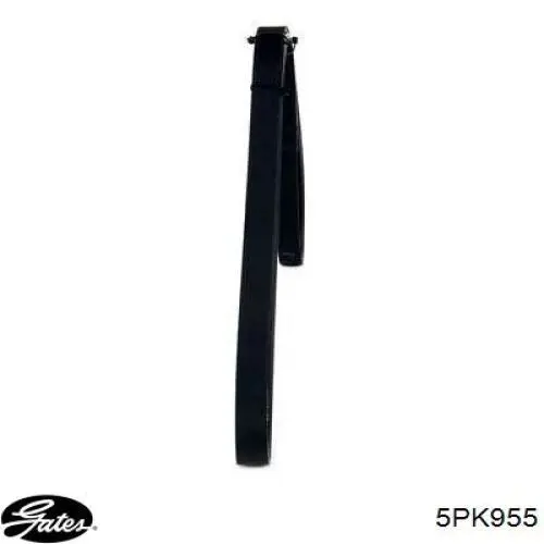 Купити 5PK955 Gates Ремінь генератора