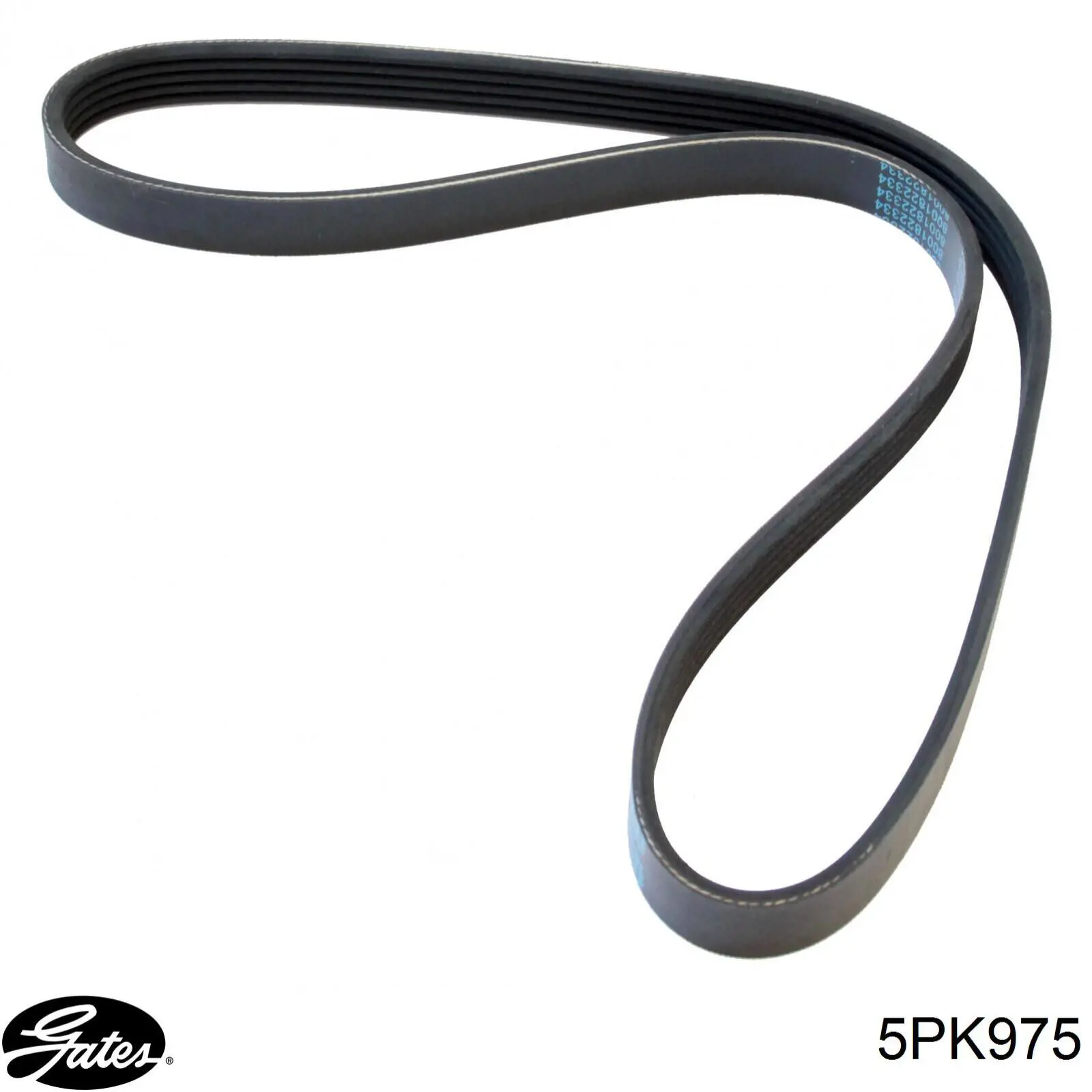 Клиновий ремінь Toyota 9936500970 ціна, від 6.40 USD