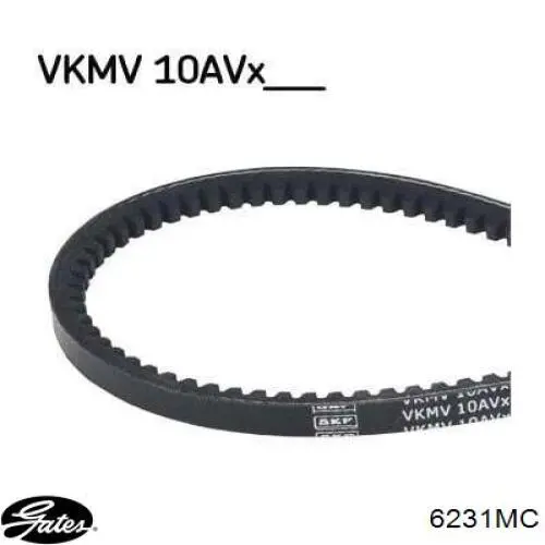 Купити 6231MC Gates Ремінь генератора