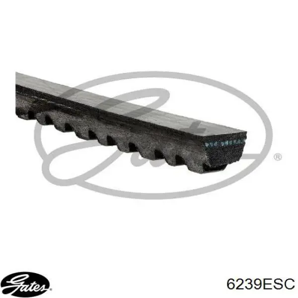 Купити AVX10X1475 Continental/Siemens Ремінь генератора
