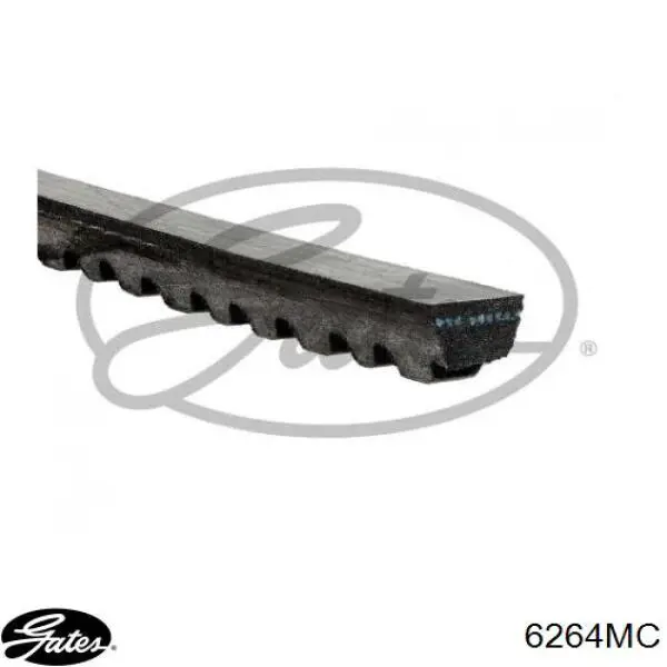 Купити 6264MC Gates Ремінь генератора