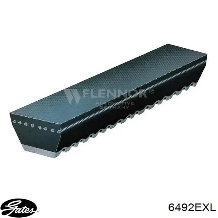 Купити 13A1550GL Dayco Ремінь генератора