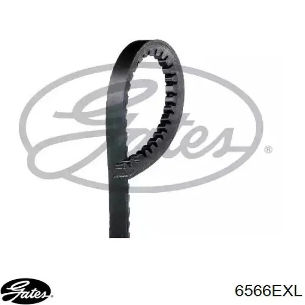 Купити 6566EXL Gates Ремінь генератора