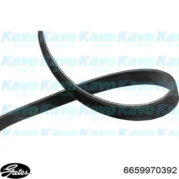 Купити 6659970392 Gates Ремінь генератора