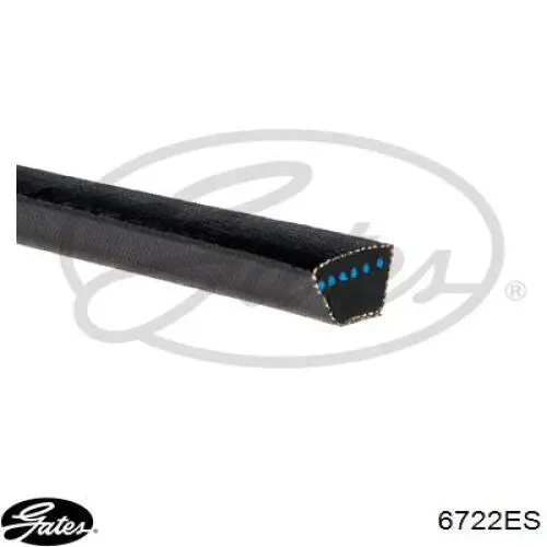 Купити AV17X1125HD Gates Ремінь генератора