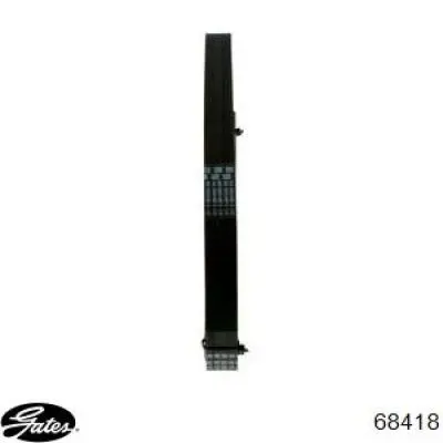 Купити DY6PK1660 Dayco Ремінь генератора