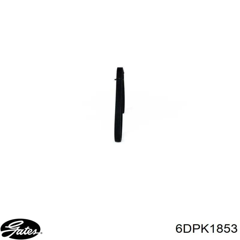Купити 6DPK1853 Gates Ремінь генератора