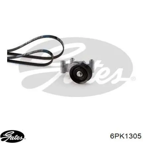 Купити AM556C301AA Ford Ремінь генератора