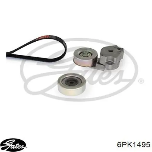 Купити CM5Z8620G Ford Ремінь генератора