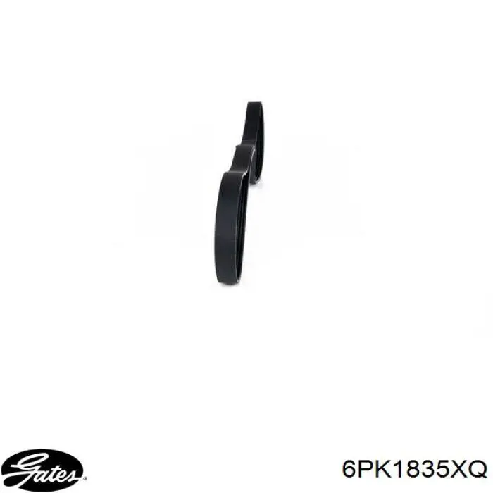 Клиновий ремінь Fiat/Alfa/Lancia 0055189677 ціна, від 16.31 USD