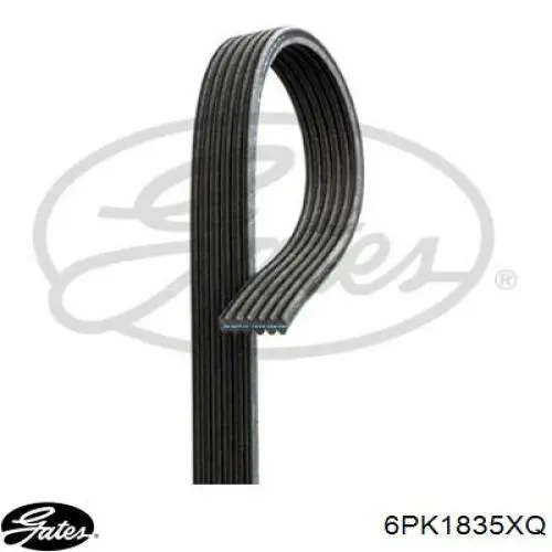 Купити 0055189677 Fiat/Alfa/Lancia Ремінь генератора
