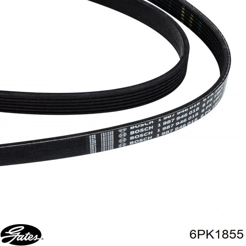 Купити K060730 Gates Ремінь генератора