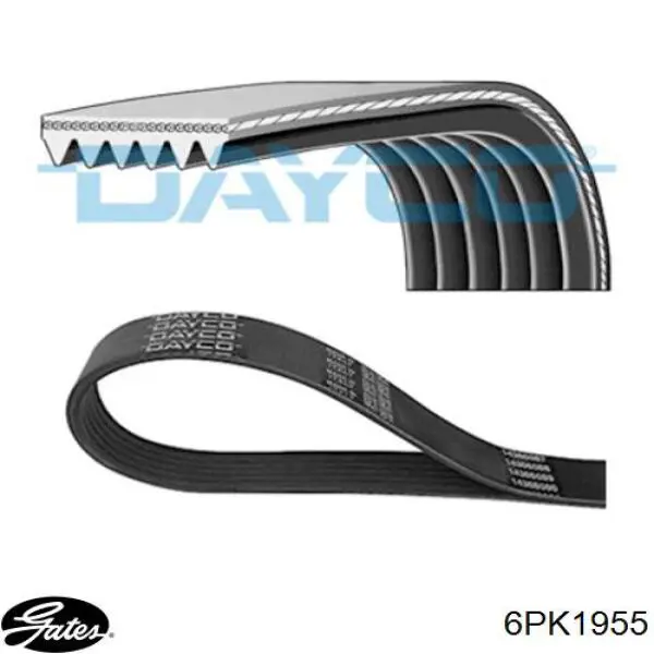 Ремінь кондиціонера Gates 6PK1955