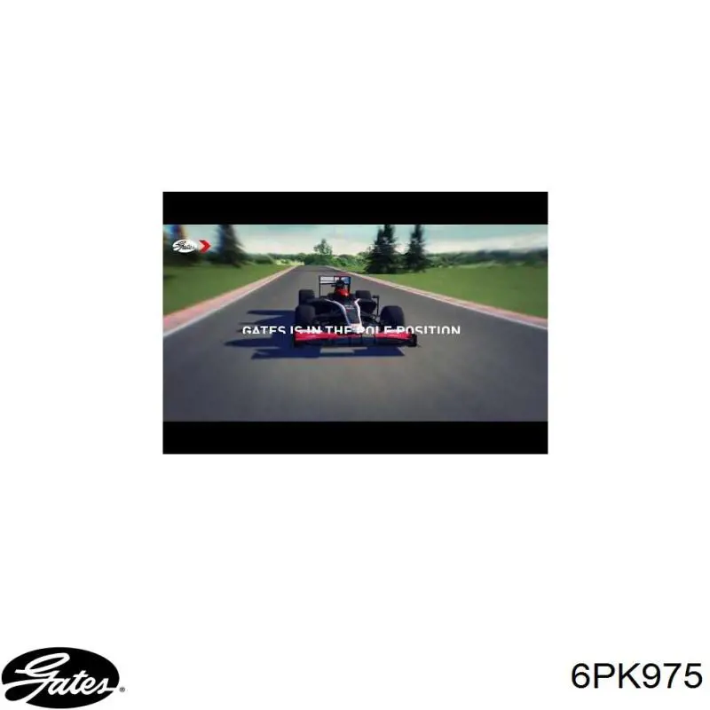 Клиновий ремінь Ford 1229549 ціна, від 9.02 USD