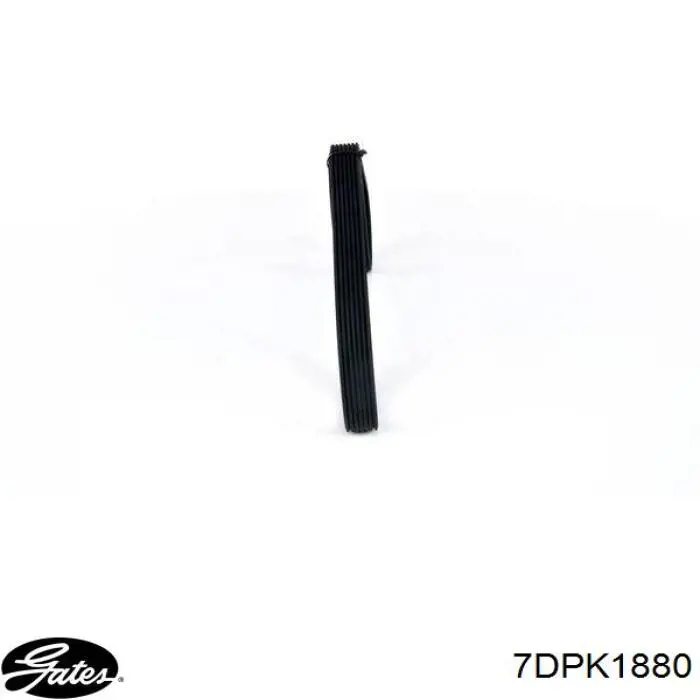 Купити 7DPK1880 Gates Ремінь генератора