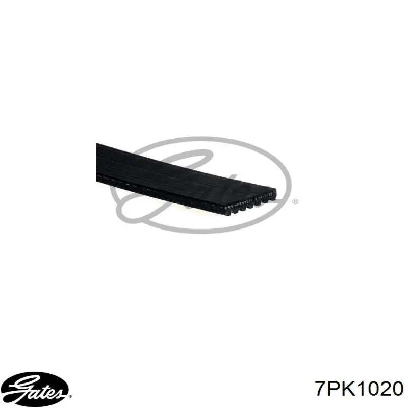 117209884R Renault (RVI) Поліклиновий ремінь